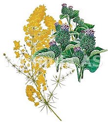 guturaiul de fan (rinita alergica) retete naturiste